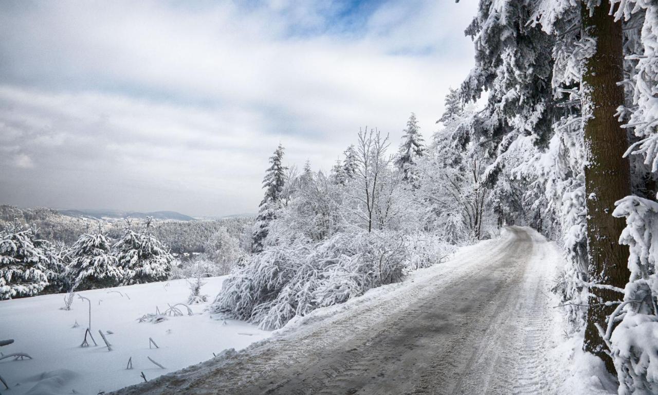 Sloneczny Chelm - Apartamenty W Gorach, Prywatna Sauna Jacuzzi Balia W Cenie, Spa, Grill, Stok Narciarski Myslenice, Sciezki Rowerowe, Rzeka Raba, Widok Na Tatry Exterior foto